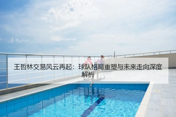 王哲林交易风云再起：球队格局重塑与未来走向深度解析